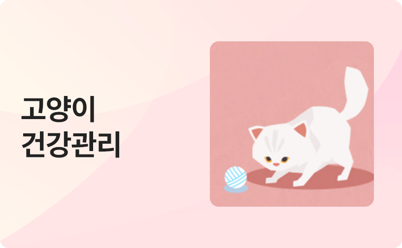 고양이 건강관리